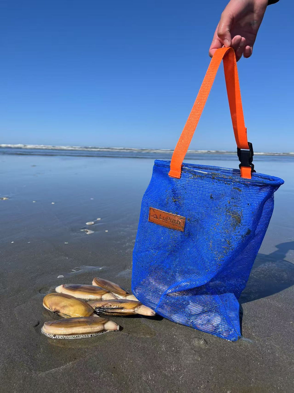 Clam Bag with Carabiner