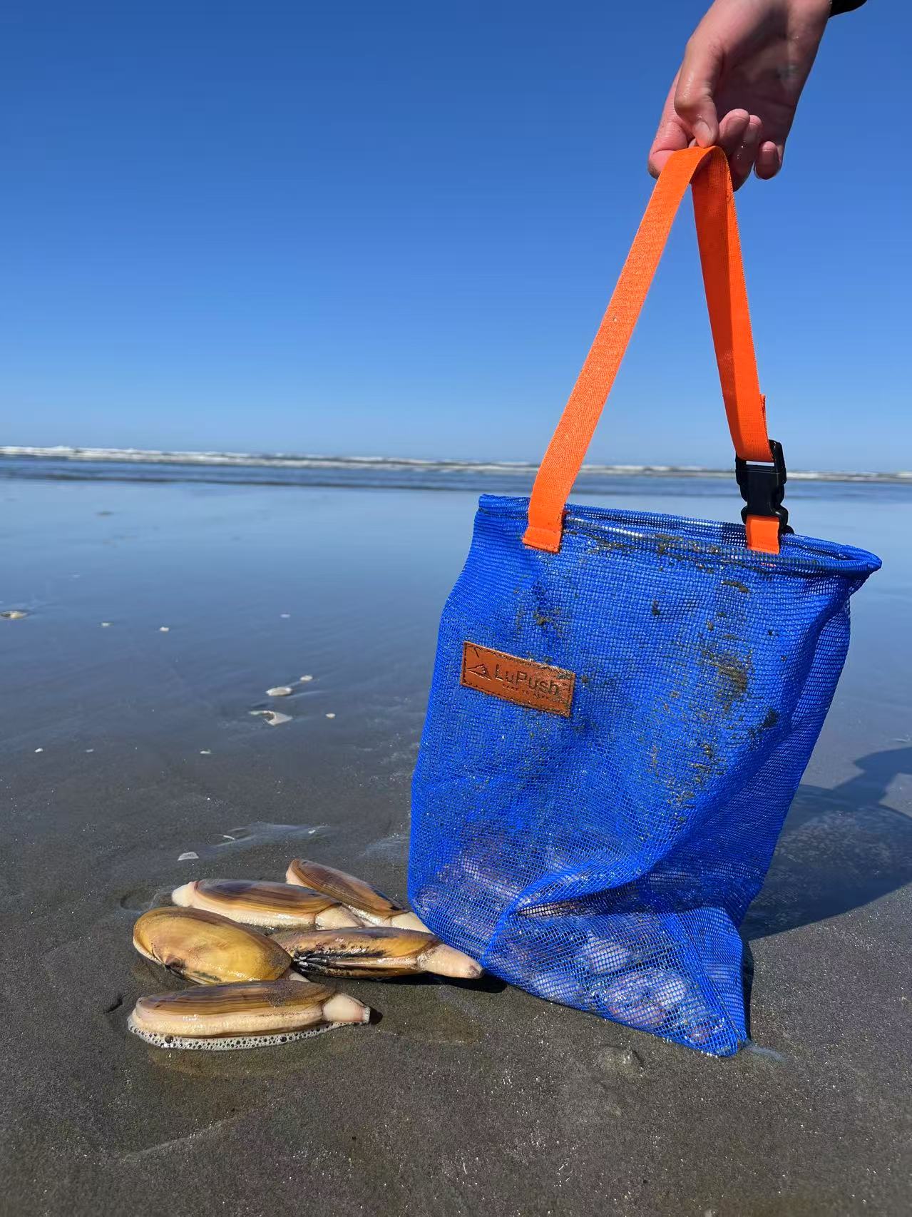 Clam Bag with Carabiner
