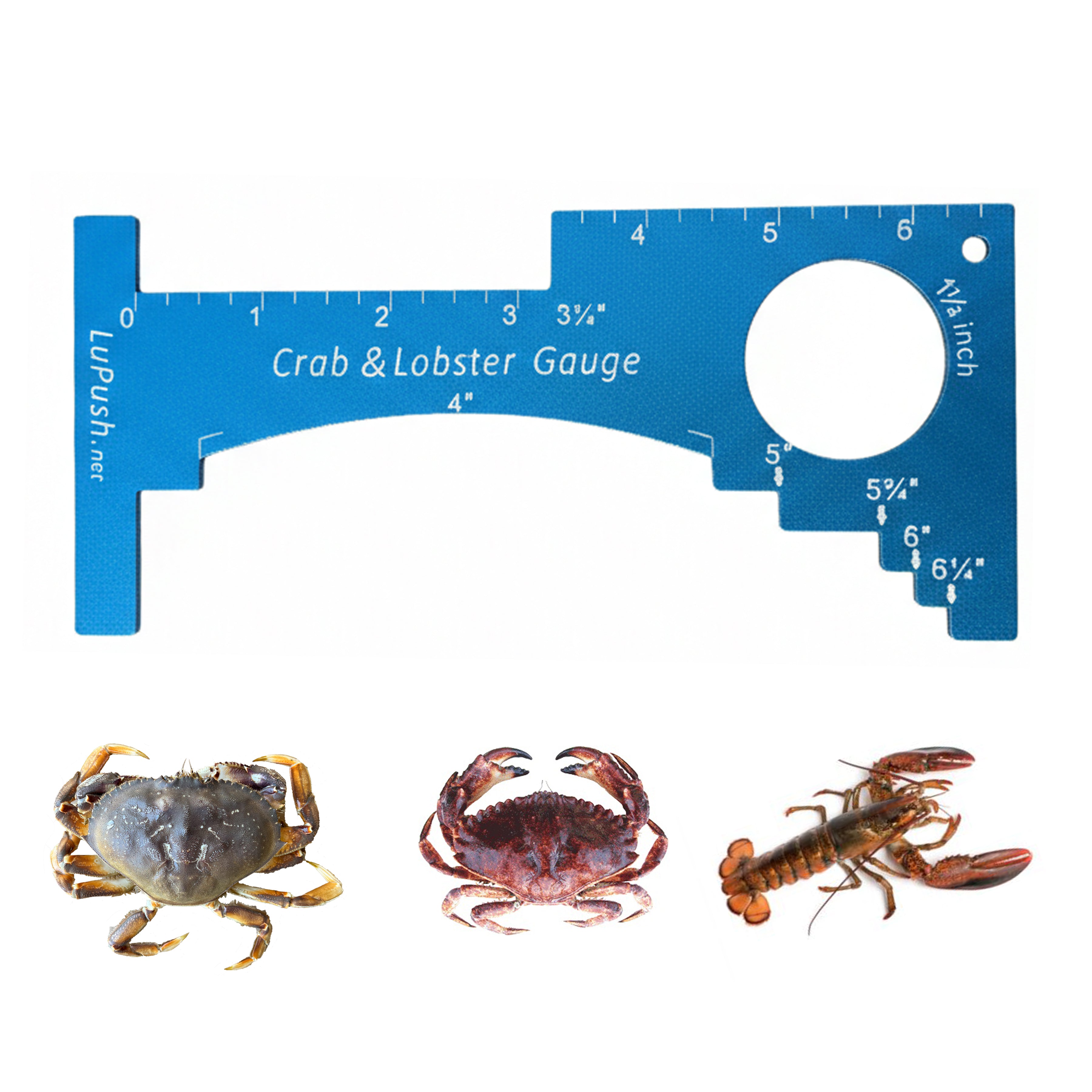 LuPush Crab Gauge & Lobster Ruler – 3mm Thick Aluminum