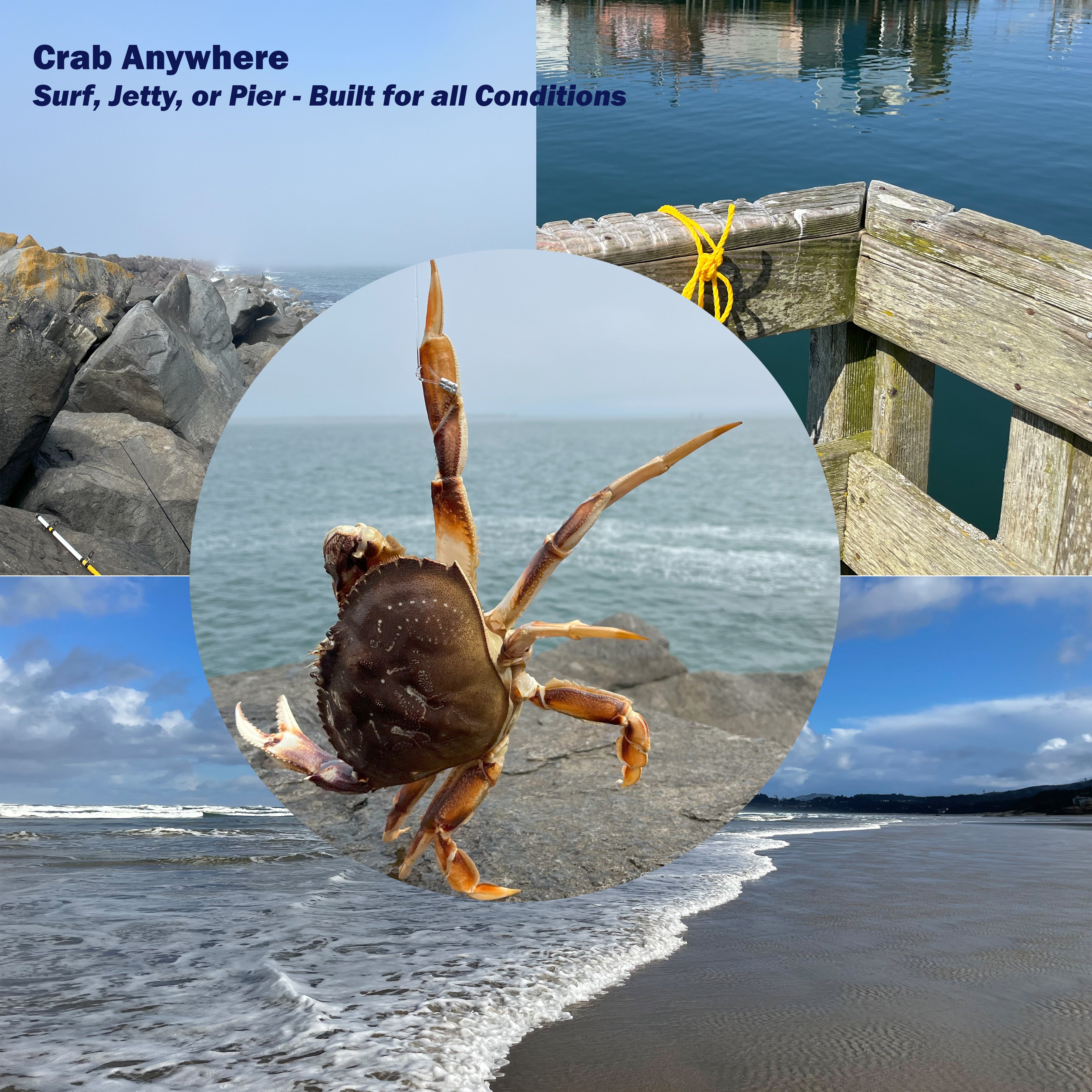 Stainless Steel Crab Snare
